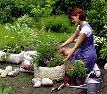 landscaping Services in Dubai, Garden Maintenance,Lawn Maintenance, arrange stones in garden
